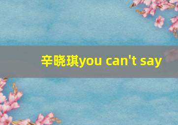 辛晓琪you can't say